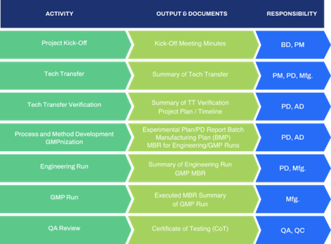 Graphic representing a project timeline and the various activities and outputs as part of your project management for biologics manufacturing.