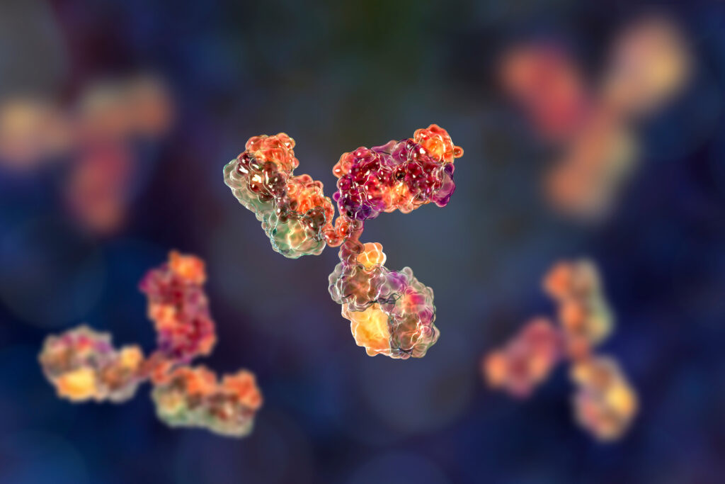 3D generated image of monoclonal antibodies
