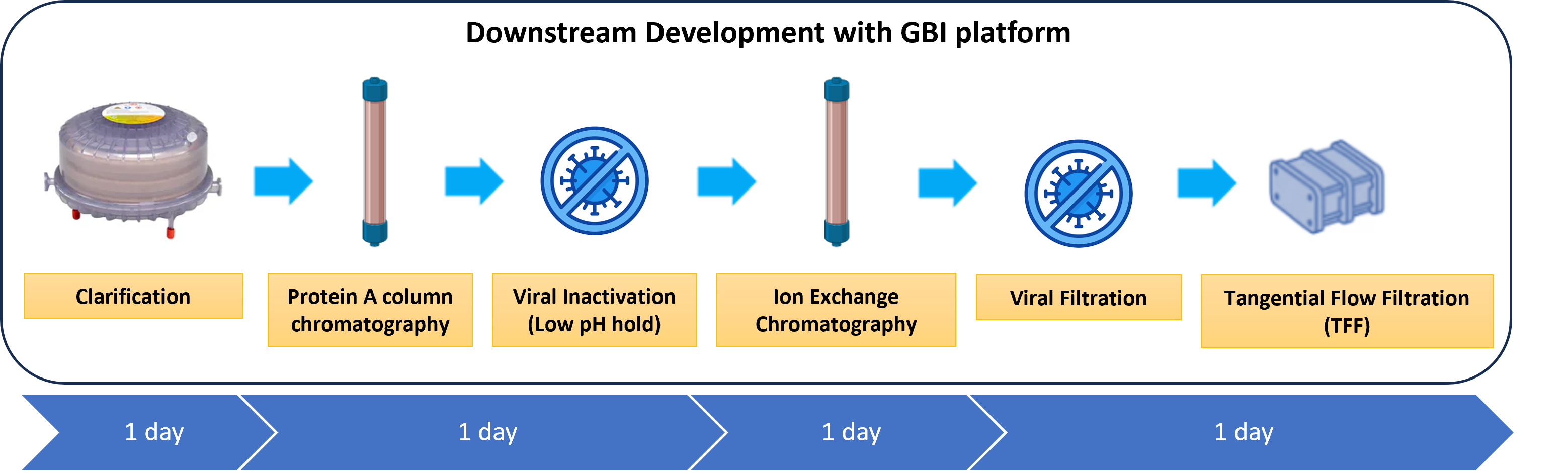 2024_GBI_Figure2.Downstream