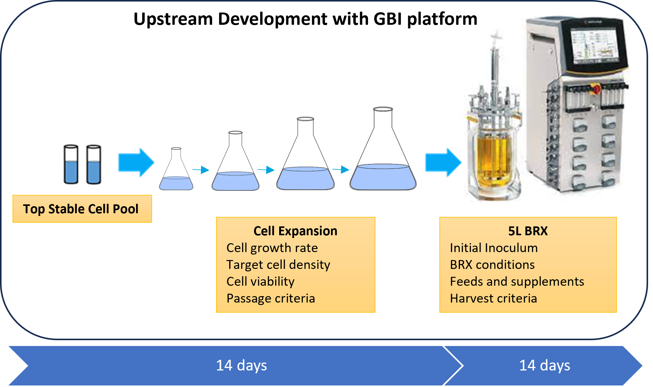 2024_GBI_Figure1.Upstream