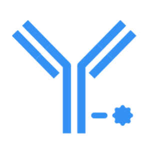 Emerging Trends in Bioconjugation: What the Future Holds - GBI ...