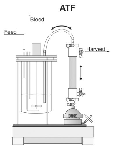 Schematic of a typical alternating tangential flow (ATF) perfusion set-up with diaphragm pump and hollow-fiber module